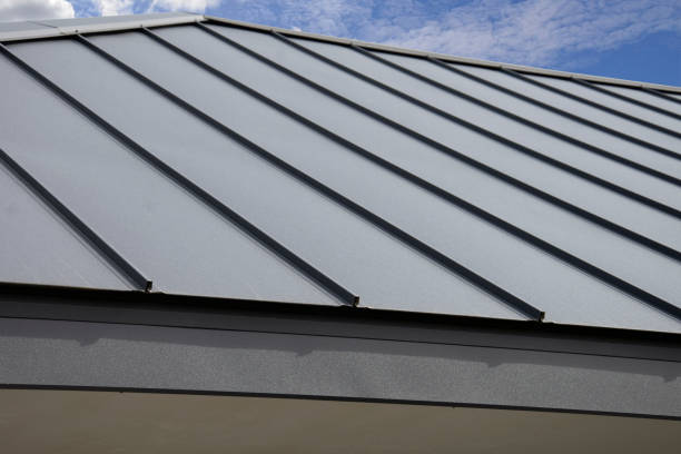 Best Solar Panel Roofing Installation  in Suffolk, VA