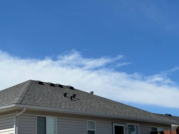 Best Wood Shake Roofing  in Suffolk, VA